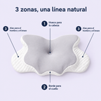 3 zonas: cabeza, cuello y hombros